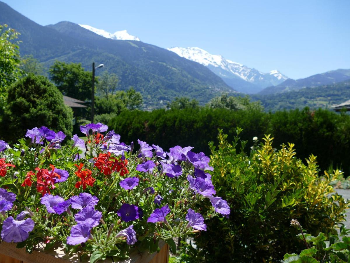 Chalet Coup De Coeur Passy  Exterior foto